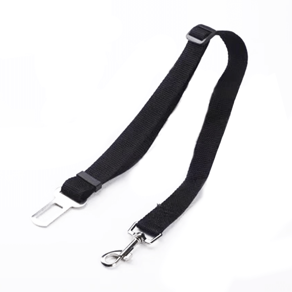 Petdrive Collar